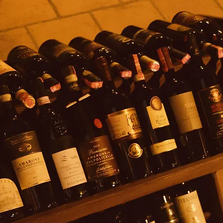 酒店 Brilant Antik 地拉那