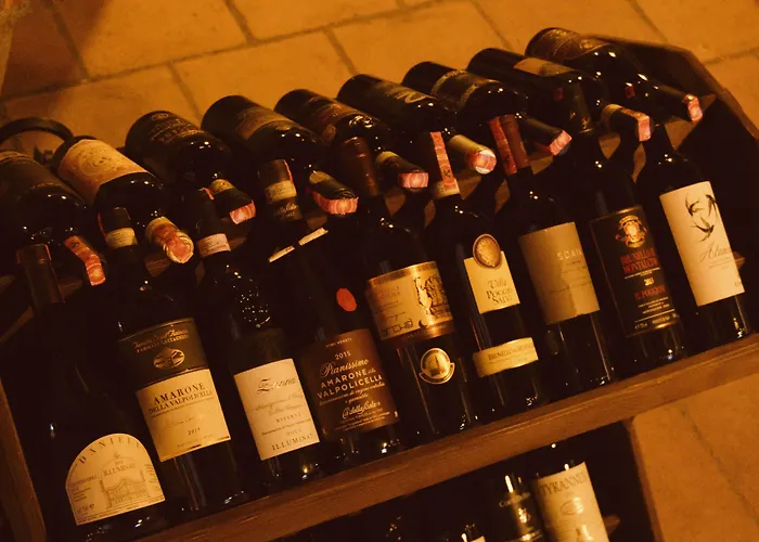 호텔 Brilant Antik 티라나